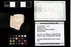 Foto (Objekt + Etikett) von Goniodromites sp.  (NHMW-GEO-2014-0194-0273)